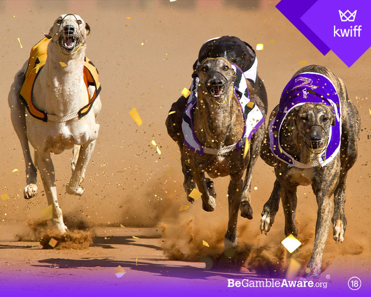 Lp Kennel Club